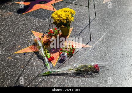 LOS ANGELES - 26 JUIN : la star de Michael Jackson sur le Hollywood Walk of Fame en tant que fans se souviennent de l'artiste et laissent des messages pour dire Au revoir sur 26 juin, Banque D'Images