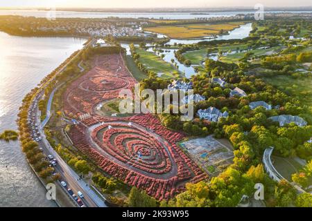 SUZHOU, CHINE - 23 OCTOBRE 2022 - photo aérienne prise le 23 octobre 2022 montre aux touristes la visite du paysage de muhlygrass rose en pleine floraison à Suzhou, Jiangsu Banque D'Images