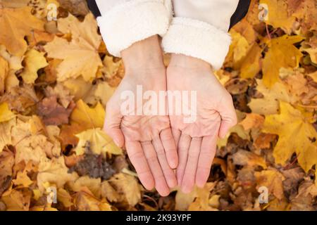 deux mains de femmes ensemble dans la rue dans le parc en automne, mains de femmes Banque D'Images