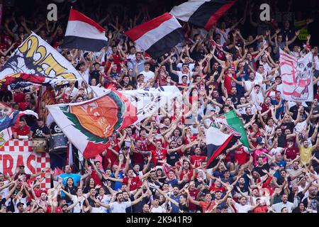 Séville, Espagne - 25 octobre 2022, fans de Séville pendant la Ligue des champions de l'UEFA, le match de football du Groupe G entre le FC de Séville et le FC de Copenhague sur 25 octobre 2022 à l'Estadio Ramon Sanchez Pizjuan à Séville, Espagne - photo: Joaquin Corchero/DPPI/LiveMedia Banque D'Images