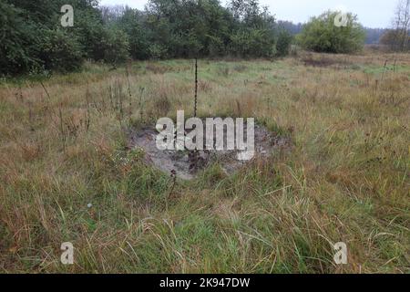 Cratère après un obus touché, guerre en Ukraine, déminage, frappes d'artillerie, nature ukrainienne Banque D'Images