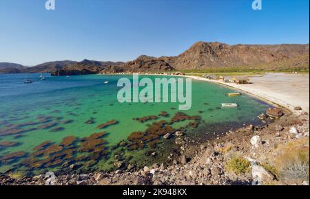 Playa El Burro à Bahia Concepcion, Baja California Sur, Mexique Banque D'Images