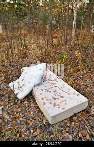 ancien matelas abandonné dans la forêt Banque D'Images