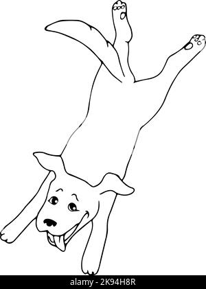 Bon chien de saut. Esquisse en noir et blanc. Icône simple ligne noire. Illustration vectorielle dessinée à la main Illustration de Vecteur