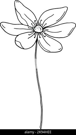 Icône de fleur. Élément floral tracé à la main en ligne noire isolé sur le blanc. Dessin floral à contour d'une ligne. Illustration vectorielle Illustration de Vecteur