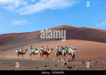 LANZAROTE, ESPAGNE - AVRIL 5: L'équitation à dos de chameau pour les touristes à des cônes volcaniques est une attraction touristique dans le parc national de Timanfaya sur l'île des Canaries- on Banque D'Images