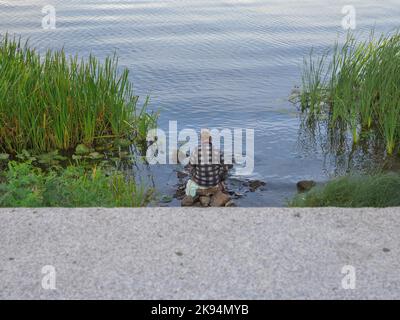 Un vieil homme en short et une casquette et une rode de pêche dans ses mains tirant des poissons hors de la rivière Dnipro sur une plage urbaine près du pont Nord dans la ville de Kiev, Banque D'Images