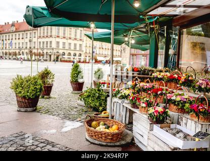 Planque de fleurs sur la place Plac Solny près de la place centrale du marché à Wroclaw Banque D'Images