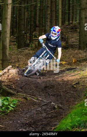 KRONBERG, ALLEMAGNE - JUILLET 7 : le motard descend sur une rampe dans la forêt sur 7 juillet, 2012 à Kronberg, Allemagne. Des courses de descente dans les forêts sont prévues Banque D'Images