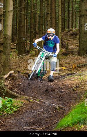 KRONBERG, ALLEMAGNE - JUILLET 7 : le motard descend sur une rampe dans la forêt sur 7 juillet, 2012 à Kronberg, Allemagne. Des courses de descente dans les forêts sont prévues Banque D'Images