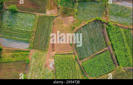 Vue de dessus des terres agricoles et des champs agricoles séparés, début de la saison de la ferme de riz Banque D'Images