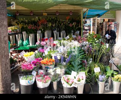 Flower stall, Berwick Street Market, Soho, Londres, Royaume-Uni Banque D'Images