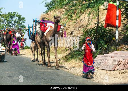 PUSHKAR, INDE - OCTOBRE 22: Les villageois se déplacent avec toutes leurs marchandises au prochain sol sur 22 octobre 2012 près de Pushkar, Rajasthan, Inde. Le chameau Banque D'Images