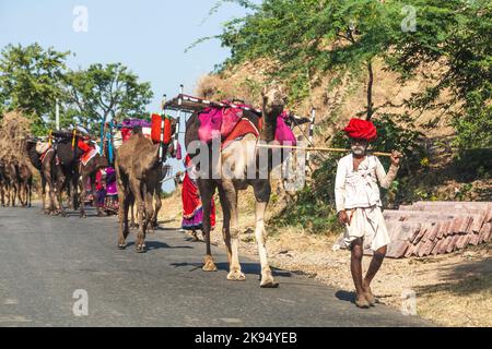 PUSHKAR, INDE - OCTOBRE 22: Les villageois se déplacent avec toutes leurs marchandises au prochain sol sur 22 octobre 2012 près de Pushkar, Rajasthan, Inde. Le chameau Banque D'Images