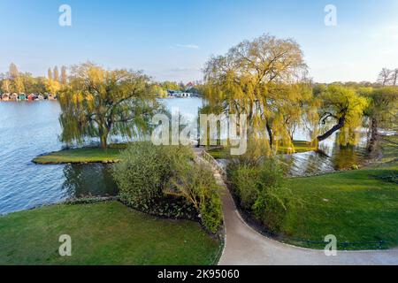 Petite île de cygne en face de l'île du château sur le lac Schwerin Banque D'Images