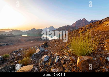 Roches fossiles, montagnes tôt le matin depuis les Émirats Arabes Unis Banque D'Images