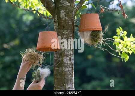 fabrication d'un distributeur de matériel de nidification pour les oiseaux ou les écureuils, étape 5: le pot de fleurs est rempli de matériel de nidification et suspendu, série image 5/5 Banque D'Images