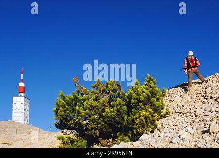 Cycliste sur le chemin du sommet du Mont Ventoux, France, Provence, Vaucluse, Bédouin Banque D'Images