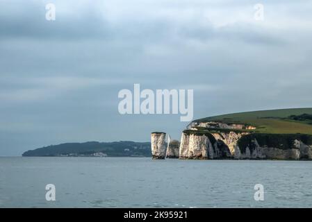 Old Harry Rocks, Handfast point, Dorset, Angleterre, Royaume-Uni, Depuis le nord, en descendant vers Swanage Bay et Durlston Head Banque D'Images