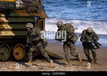 Pohang, Corée du Sud. 26th octobre 2022. Les marines sud-coréennes participent à la Hoguk joint Amphiobie Drill à Pohang, en Corée du Sud, le mercredi 26 octobre 2022. Photo par: SeongJoon Cho/Pool via Credit: SIPA USA/Alay Live News Banque D'Images