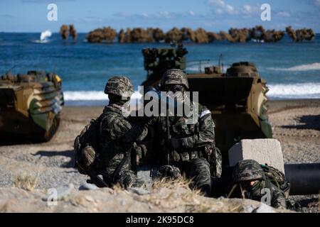 Pohang, Corée du Sud. 26th octobre 2022. Les marines sud-coréennes participent à la Hoguk joint Amphiobie Drill à Pohang, en Corée du Sud, le mercredi 26 octobre 2022. Photo par: SeongJoon Cho/Pool via Credit: SIPA USA/Alay Live News Banque D'Images