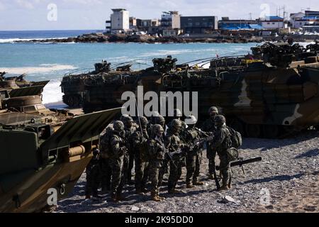 Pohang, Corée du Sud. 26th octobre 2022. Les marines sud-coréennes participent à la Hoguk joint Amphiobie Drill à Pohang, en Corée du Sud, le mercredi 26 octobre 2022. Photo : SeongJoon Cho/Pool via Credit: SIPA USA/Alay Live News Banque D'Images