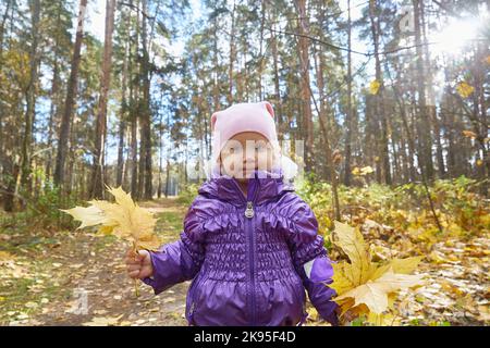 Enfant à l'extérieur par un beau jour d'automne. Avec un bouquet de feuilles en main Banque D'Images