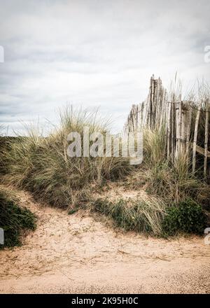 Une clôture de piquetage et des dunes de sable sur le front de mer à Dawlish Warren, Devon. Banque D'Images