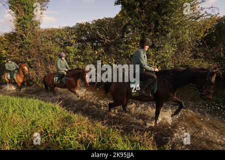 De gauche à droite, James du Berlais, Jungle Boogie et Sharjah lors d'une visite au chantier de Willie Mullins à Closutton, dans le comté de Carlow, en Irlande. Date de la photo: Mercredi 26 octobre 2022. Banque D'Images