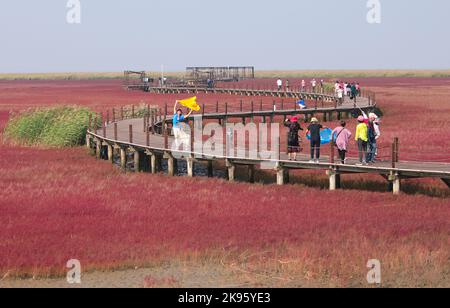 Shenyang, province chinoise de Liaoning. 28th septembre 2022. Les gens apprécient le paysage de la région pittoresque de Red Beach à Panjin, dans la province de Liaoning, au nord-est de la Chine, le 28 septembre 2022. Crédit : Wang Yijie/Xinhua/Alay Live News Banque D'Images