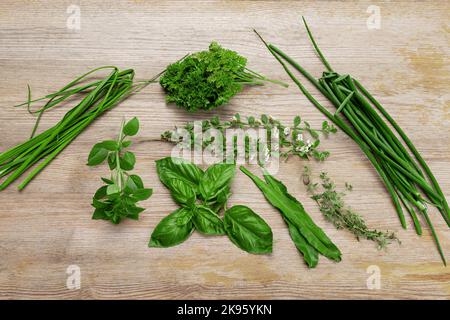 Herbes des Caraïbes vert assaisonnement Shadon benny local Trinité-et-Tobago sur un fond en bois ciboulette basilic origan thym persil ciboule Banque D'Images