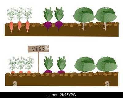 Femme plantant des fleurs de jardins, agriculture jardinier passe-temps et travail de jardin. Jardinier coupe-fleurs travail. Illustration de Vecteur