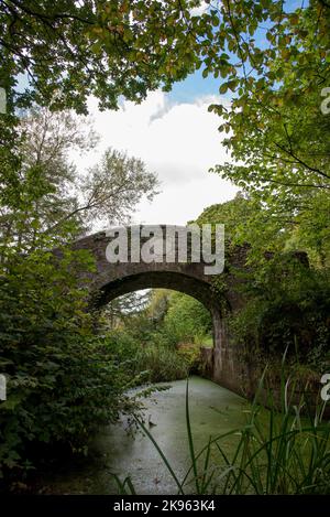 Pont de Ruxton, remparts, Navan, Irlande Banque D'Images