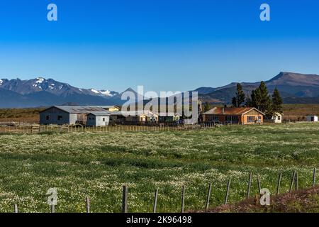 Ferme sur le fjord Ultima Esperanza, Puerto Natales, Chili Banque D'Images