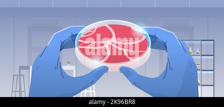 mains de scientifiques tenant la viande brute rouge de culture faite de cellules animales artificiel de laboratoire de production de viande concept Illustration de Vecteur