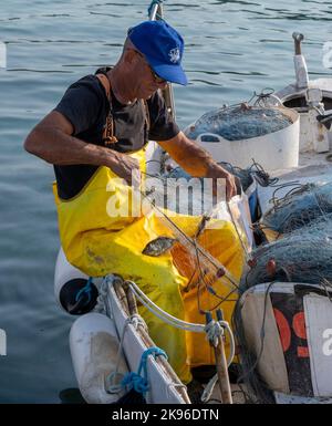 Pêcheur collectant du poisson sur un filet à bord d'un bateau dans le port d'Agios Georgios, Peia, Chypre. Banque D'Images