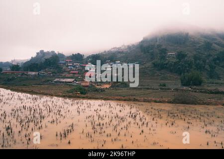 Rizières en terrasses sur les montagnes, partie du parc national Hoang lien, à Sapa par jour brumeux et pluvieux en hiver Banque D'Images