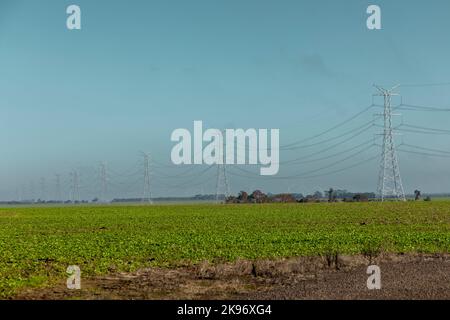 Photographie d'une ligne de grandes tours de transmission en acier et de câbles associés traversant un champ agricole vert dans la région australienne Banque D'Images