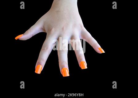 Mains de fille avec faux ongles orange sur fond noir. Manucure femelle Banque D'Images