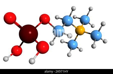 3D image de la formule squelettique de la phosphocholine - structure chimique moléculaire de la phosphatidylcholine intermédiaire isolée sur fond blanc Banque D'Images