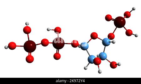 3D image de la formule squelettique du phosphoribosyl pyrophosphate - structure chimique moléculaire de l'intermédiaire biochimique isolé sur fond blanc Banque D'Images