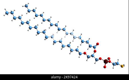 3D image de la formule squelettique Plasmalogène - structure chimique moléculaire de l'exemple de glycerophospholipide isolé sur fond blanc Banque D'Images