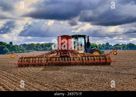 Forage de semences dans une ferme agricole Banque D'Images