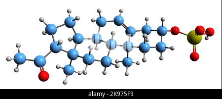 3D image de la formule squelettique de sulfate de Pregnenolone - structure chimique moléculaire du neurostéroïde excitatrice endogène isolé sur fond blanc Banque D'Images