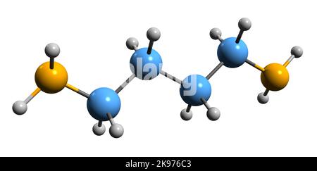 3D image de la formule squelettique putrescine - structure chimique moléculaire du composé organique isolé sur fond blanc Banque D'Images