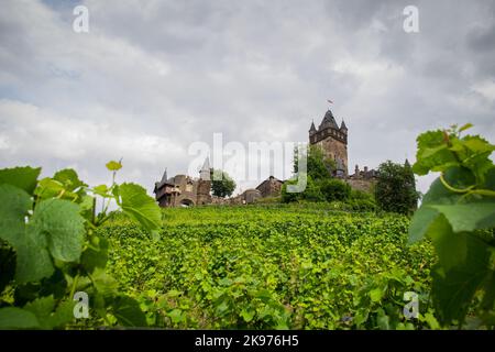 Vue aérienne du château impérial de Cochem entouré d'un vignoble Banque D'Images