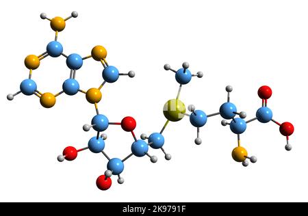 3D image de la formule squelettique S-adénosyl méthionine - structure chimique moléculaire du cosubstrat même isolé sur fond blanc Banque D'Images