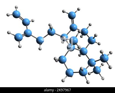 3D image de la formule squelettique du sclarene - structure chimique moléculaire du diterpène isolé sur fond blanc Banque D'Images