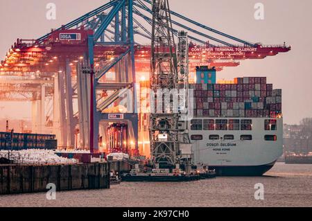 Hambourg, Allemagne - 23 février 2014: Cosco bateau à conteneurs dans le port de Hambourg au terminal à conteneurs de Tollerort. Banque D'Images