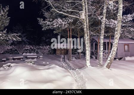 Nuit dans le jardin d'hiver. Cour d'hiver couverte de neige Banque D'Images